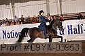 09yn-03953 proof