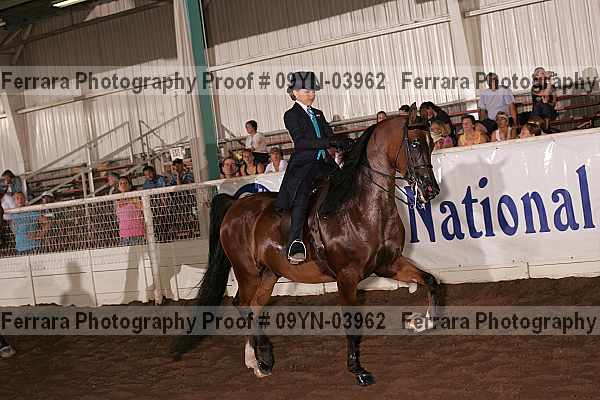 Proof 09yn-03962