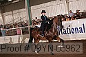 09yn-03962 proof