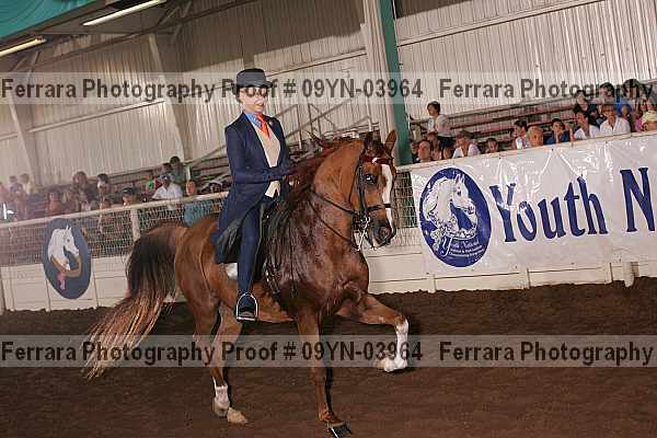Proof 09yn-03964