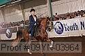 09yn-03964 proof