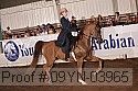 09yn-03965 proof