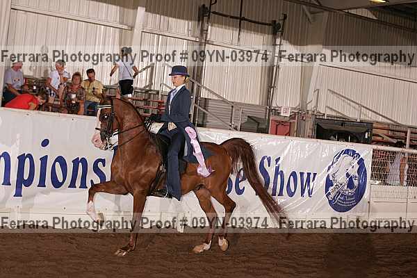 Proof 09yn-03974