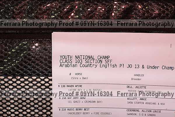 Proof 09yn-16304