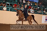 09yn-16305 proof