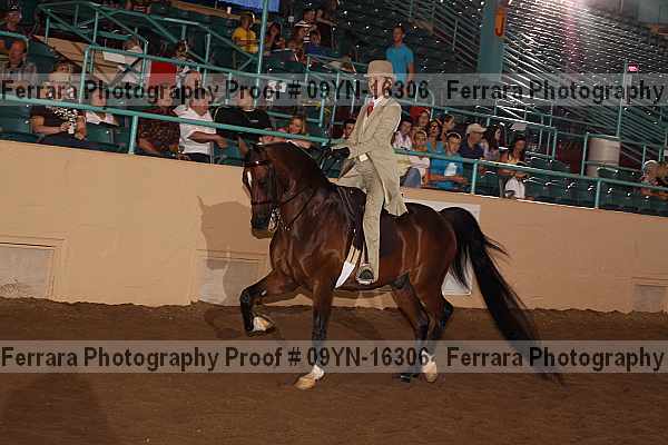 Proof 09yn-16306