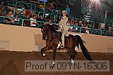 09yn-16306 proof