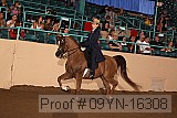 09yn-16308 proof
