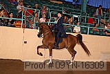 09yn-16309 proof