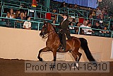 09yn-16310 proof