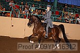 09yn-16312 proof