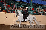 09yn-16313 proof