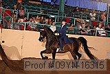 09yn-16315 proof