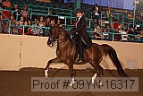 09yn-16317 proof