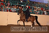 09yn-16318 proof