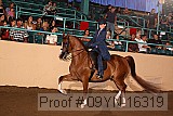 09yn-16319 proof