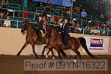 09yn-16322 proof