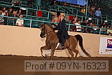 09yn-16323 proof