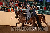 09yn-16324 proof