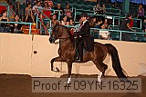 09yn-16325 proof
