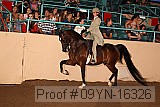 09yn-16326 proof