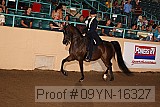 09yn-16327 proof