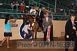 09yn-16338 proof