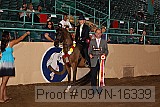 09yn-16339 proof