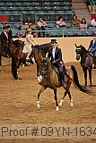 09yn-16341 proof