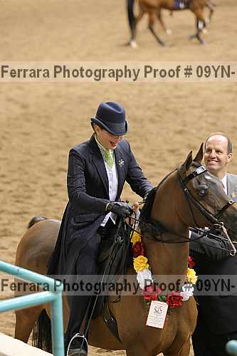 Proof 09yn-16348