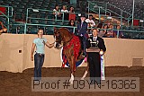 09yn-16365 proof