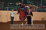 09yn-16366 proof