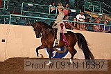 09yn-16387 proof
