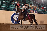 09yn-16397 proof