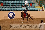 09yn-16401 proof