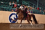 09yn-16403 proof