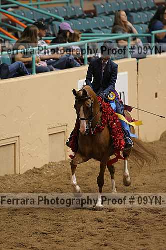 Proof 09yn-16405