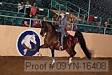 09yn-16408 proof
