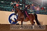 09yn-16409 proof