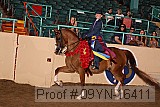 09yn-16411 proof