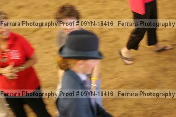 Proof 09yn-16416