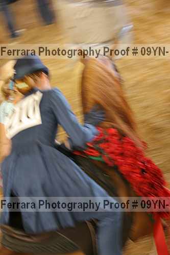 Proof 09yn-16417
