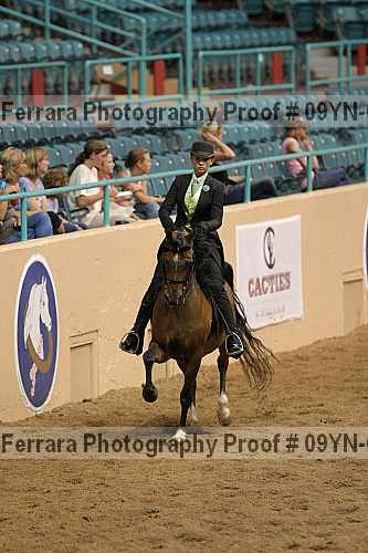 Proof 09yn-05017