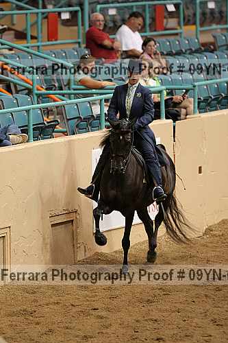 Proof 09yn-05019