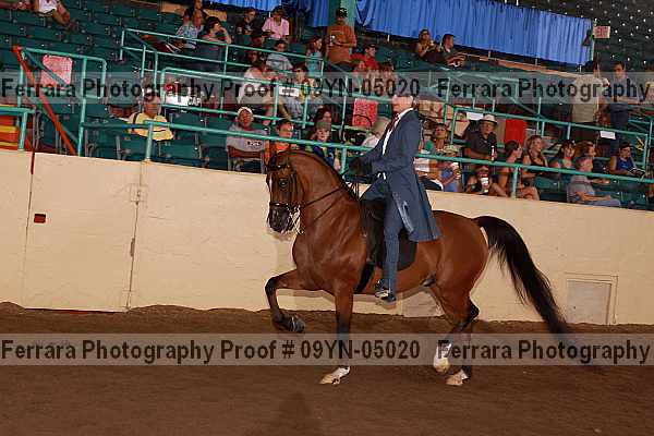 Proof 09yn-05020
