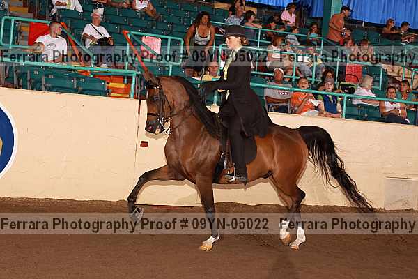 Proof 09yn-05022