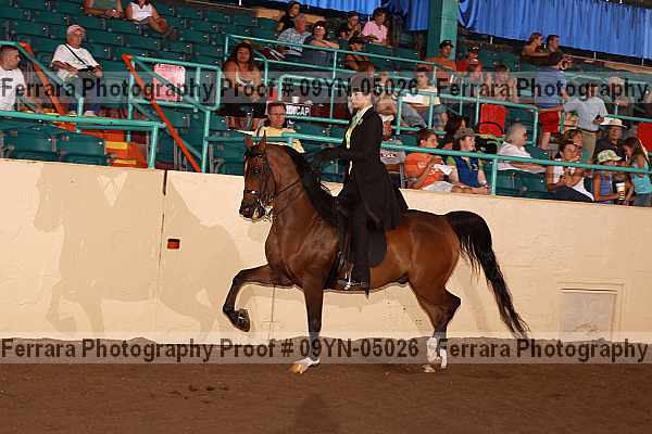 Proof 09yn-05026