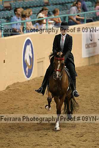 Proof 09yn-05027
