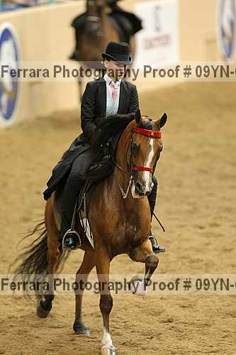 Proof 09yn-05028