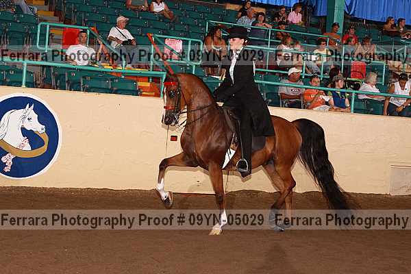 Proof 09yn-05029